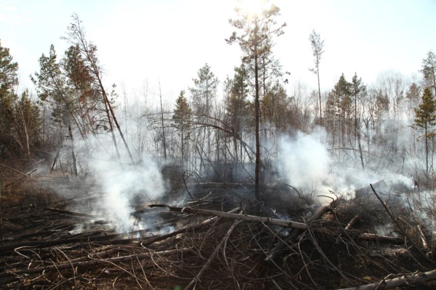Двенадцать лесных пожаров зарегистрировано в Приангарье на 10 августа