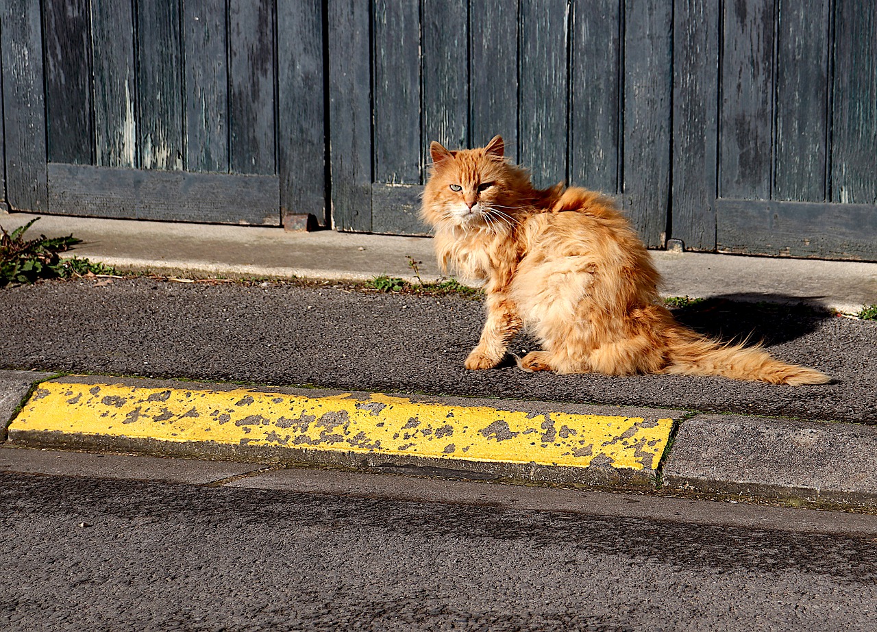 600 метров нового тротуара обустраивают на улице Баумана в Иркутске