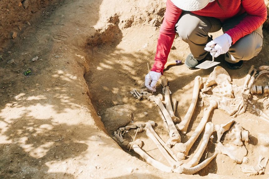 В Улан-Удэ начались раскопки на месте древнего захоронения, найденного в мае