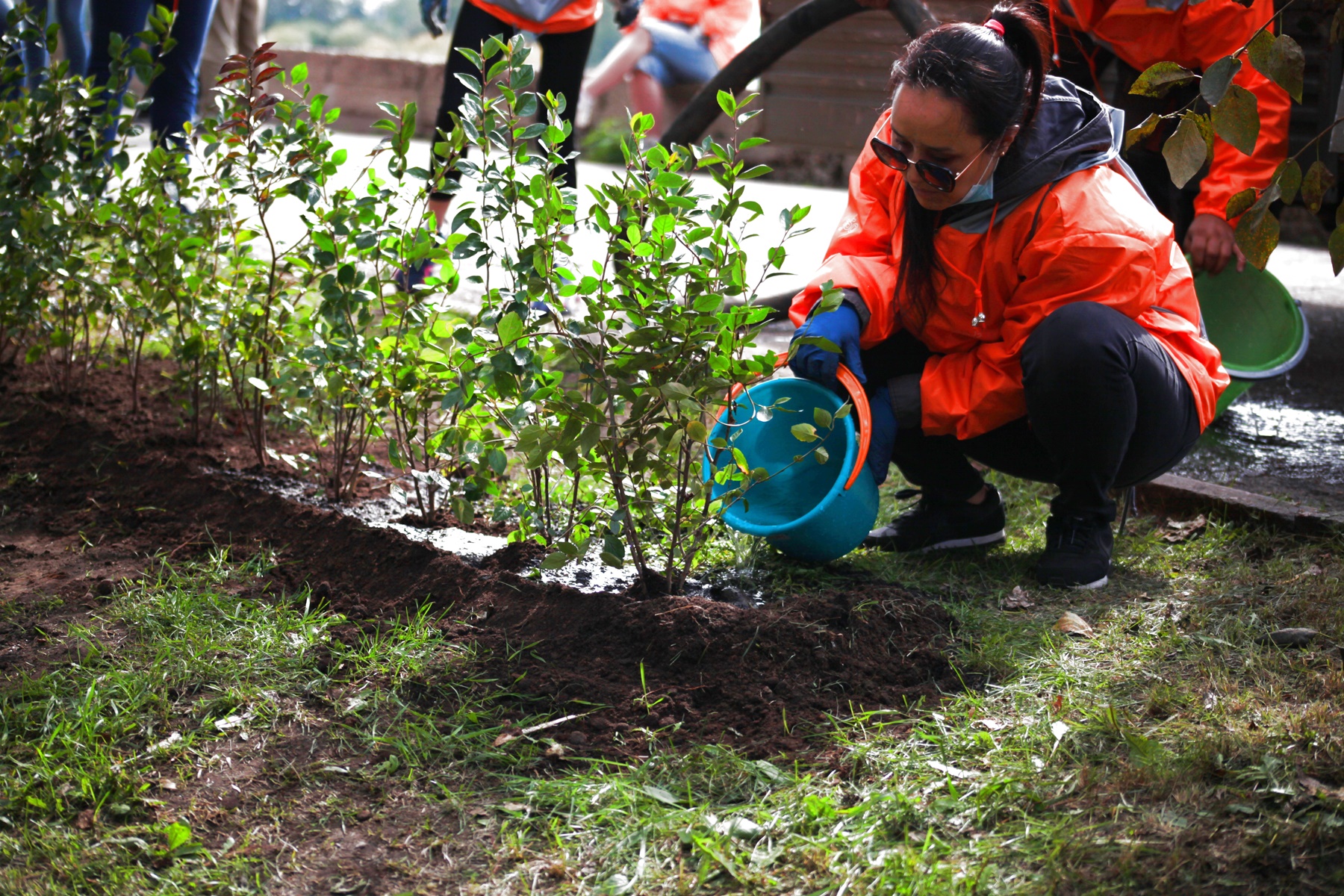 В саду посадили 14 фруктовых. Волонтеры экологи. Волонтерство экология. Волонтер по экологии. Экологическое добровольчество.