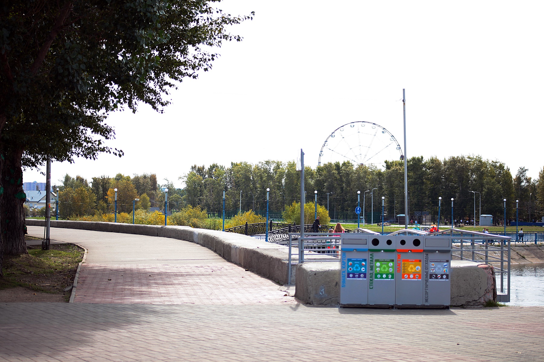 500 саженцев кизильника посадили волонтеры на акции «360» в Иркутске. Фото