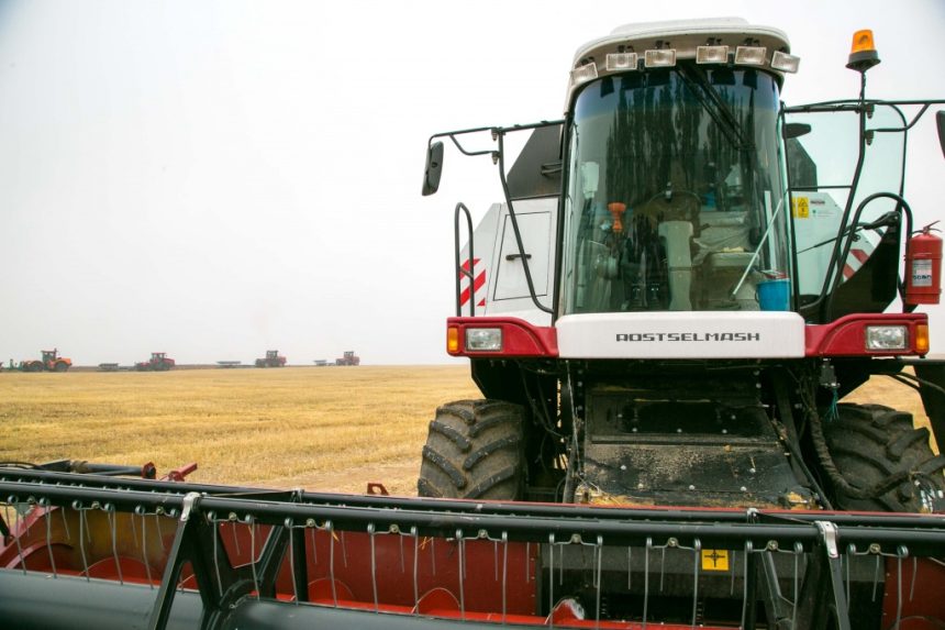 До сельхозпроизводителей в 2020 году довели 2,4 миллиарда рублей
