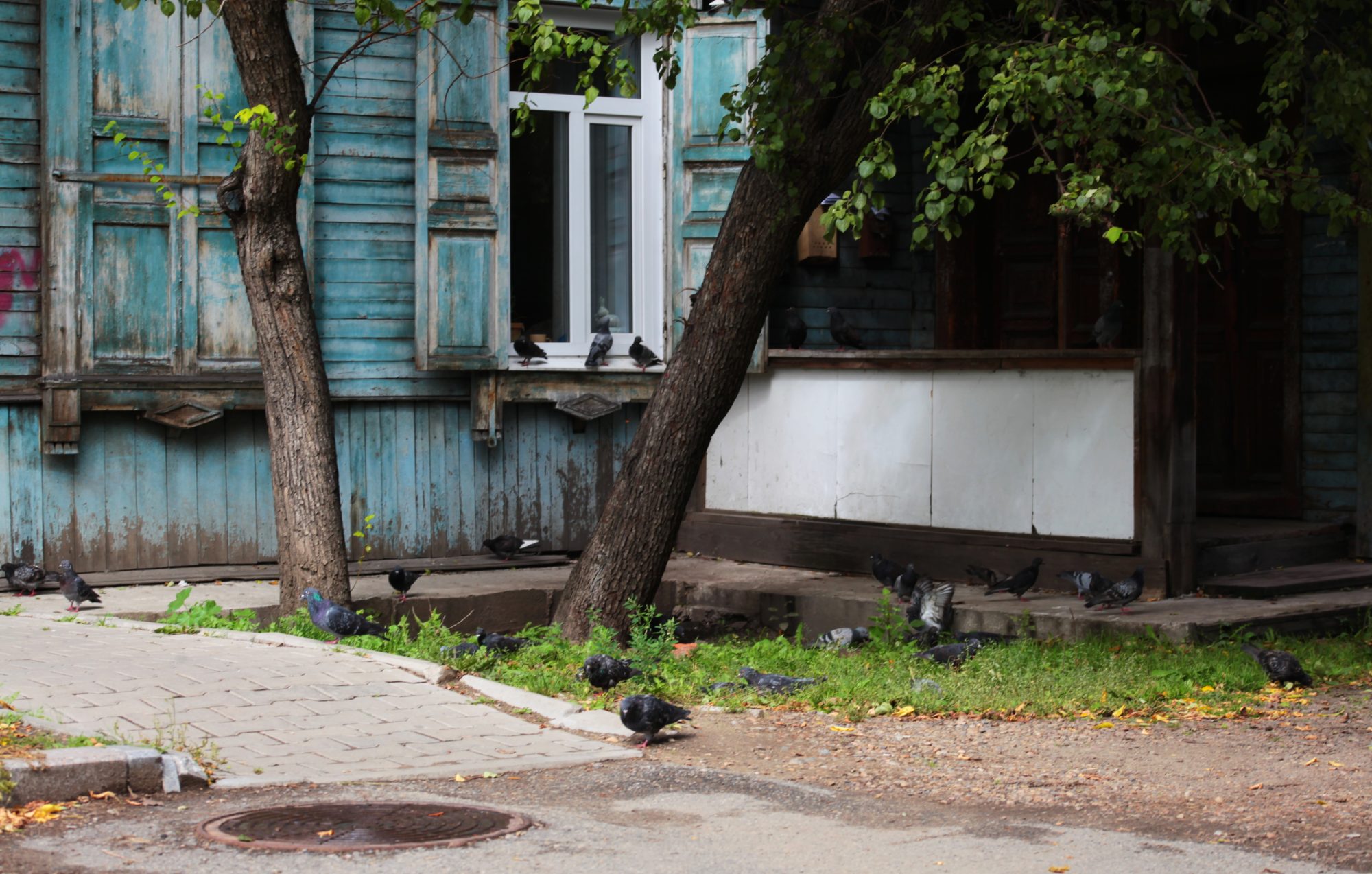 Хорошее за неделю