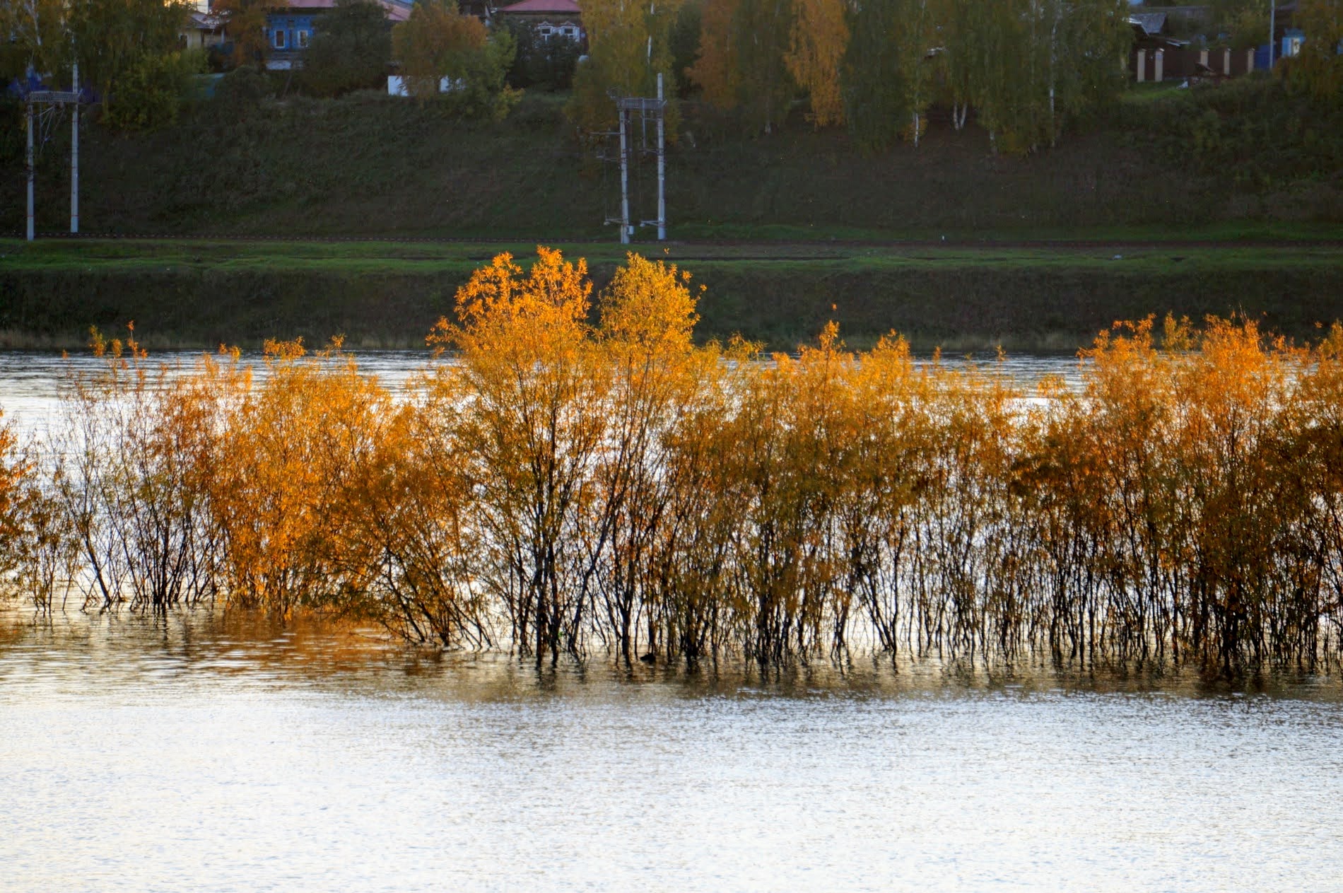 Осень в Иркутске. Большая вода
