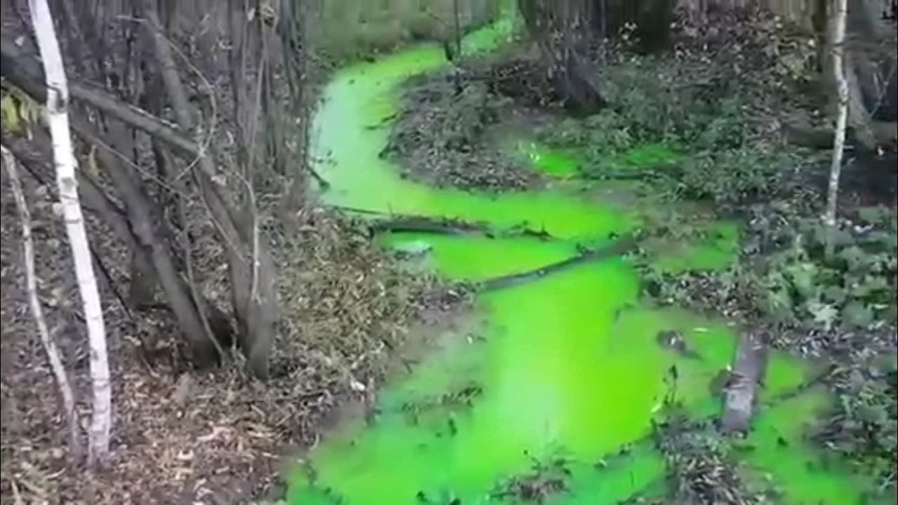 Прокуратура проверяет образовавшийся ярко-зеленый ручей в Иркутске