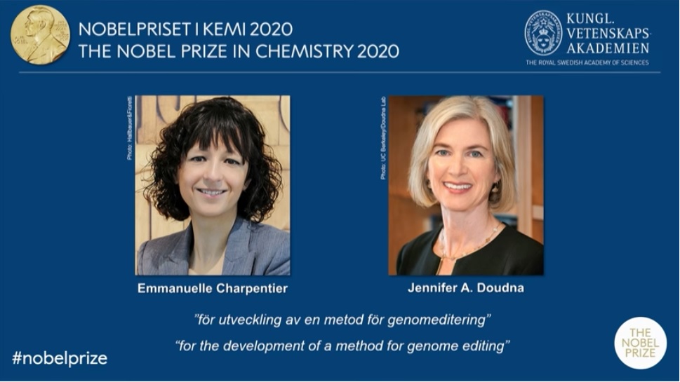 Нобелевские лауреаты 2020