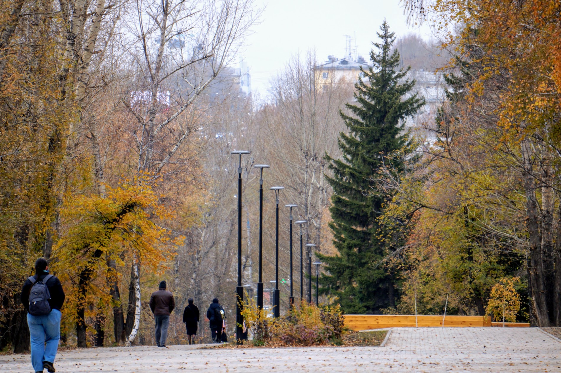 Парк лисихинский иркутск