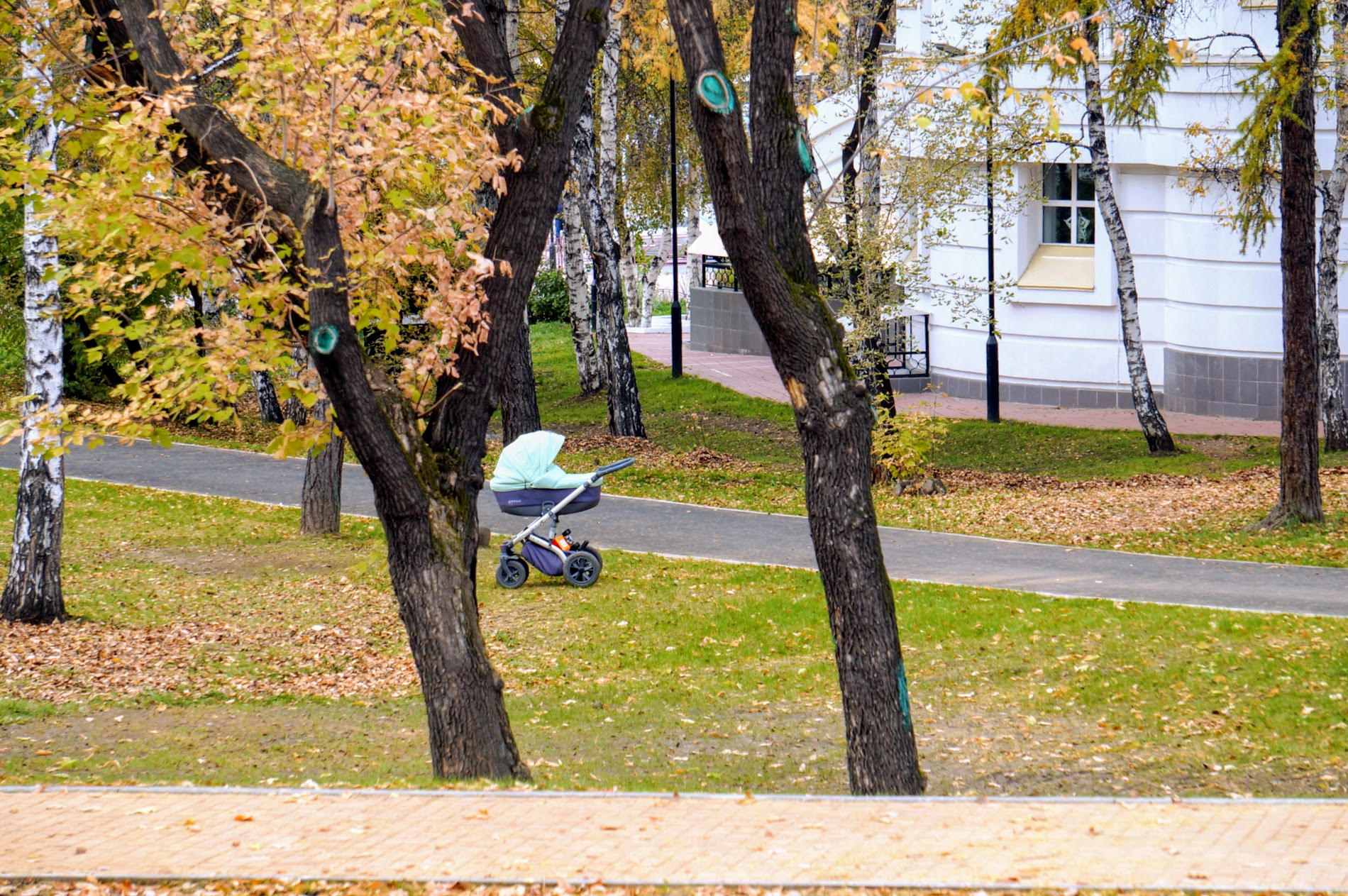 иркутск парк юность