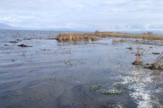 Остров Ярки частично подтопило в Бурятии из-за повышения уровня воды в Байкале