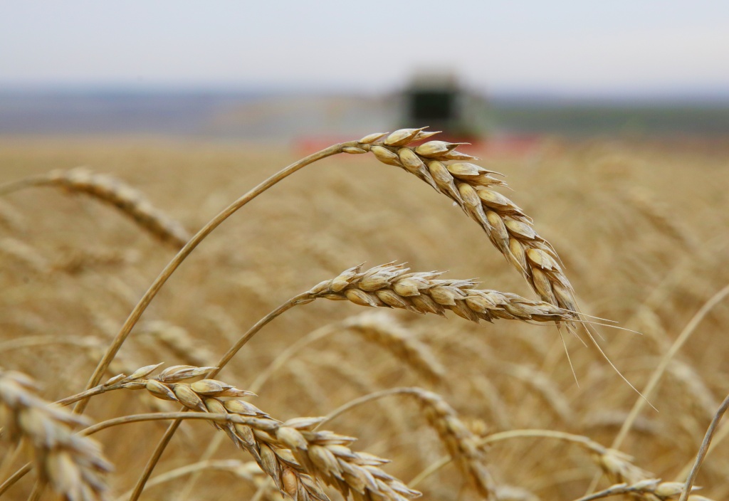 Предварительные итоги уборочной кампании в Приангарье подведут в ноябре