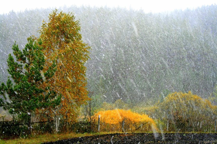 Ветер, дождь и мокрый снег ожидаются в Иркутской области 19 октября