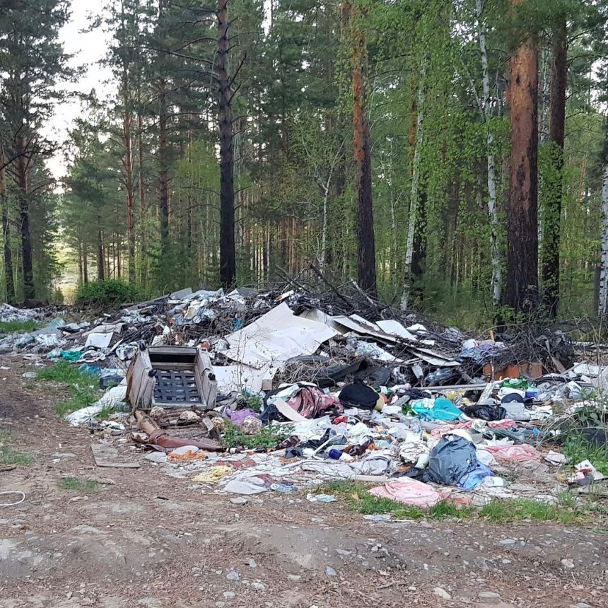 Свалку опасных бытовых отходов ликвидируют в районе рабочего поселка Маркова