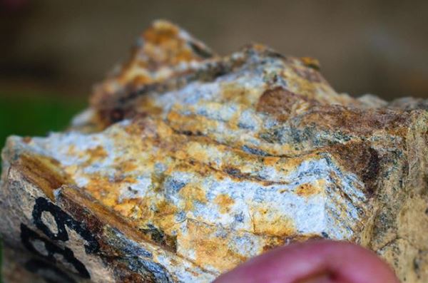 Геологи обследуют 71 квадратный километр в Бодайбинском районе в поисках золота