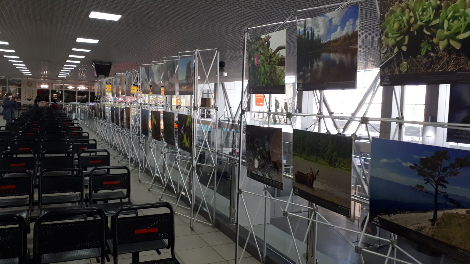 Мобильная выставка снимков Байкала появилась в иркутском аэропорту