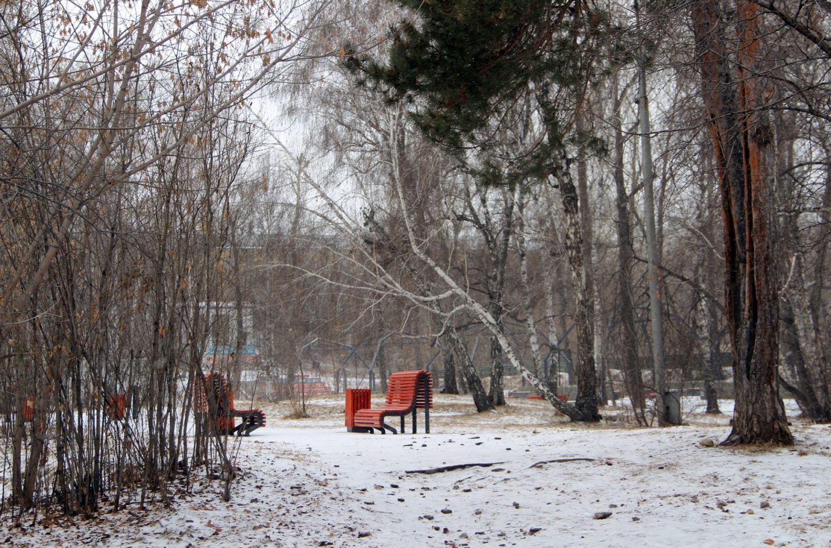 Парк Парижской коммуны в Иркутске благоустроили. Большой фоторепортаж