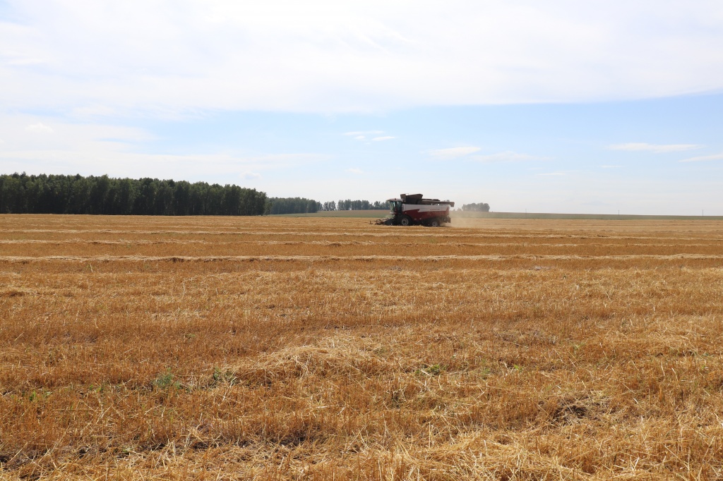 В Иркутской области перевыполнен план по вводу в оборот залежных земель
