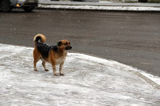 Усиление ветра и метели прогнозируют в Приангарье на пятницу, 4 декабря