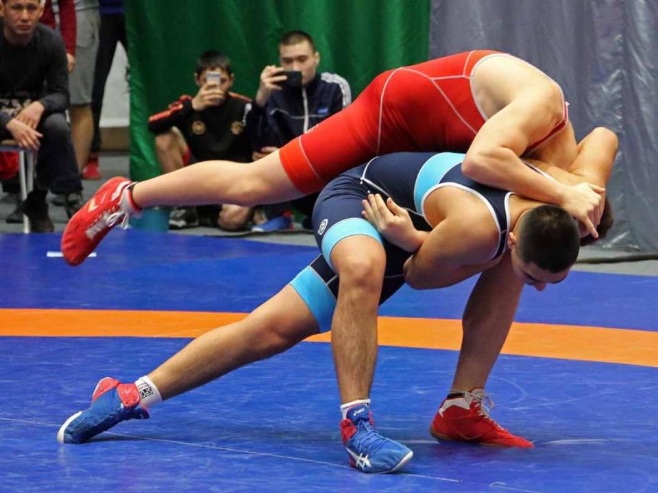 Борцы Иркутской области завоевали шесть медалей на открытом первенстве в Новосибирской области