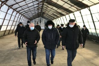 Первый в Иркутской области лесосеменной центр создадут в Мегетском лесопитомнике