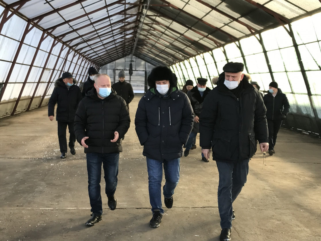 Первый в Иркутской области лесосеменной центр создадут в Мегетском лесопитомнике