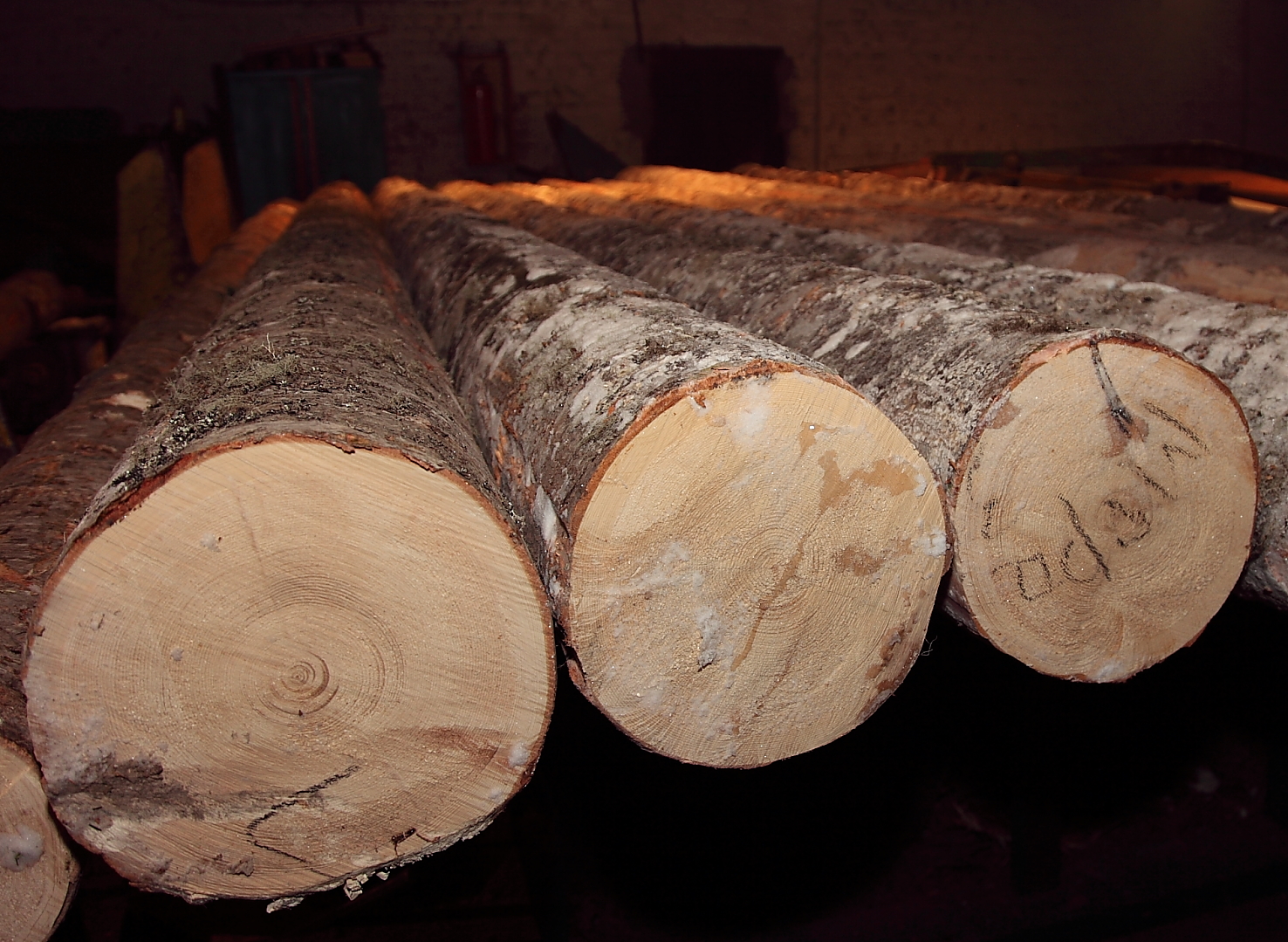 Первый в России портал для лесопользователей заработал в Иркутской области