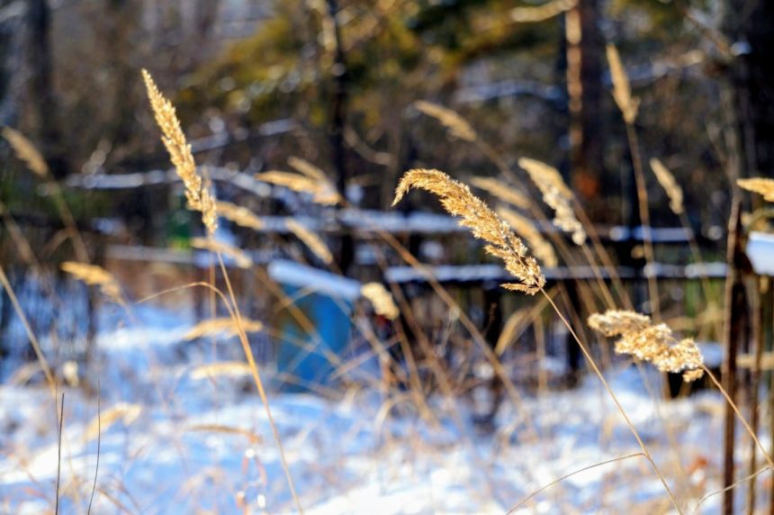 Снежные метели ожидаются в Иркутской области 31 января