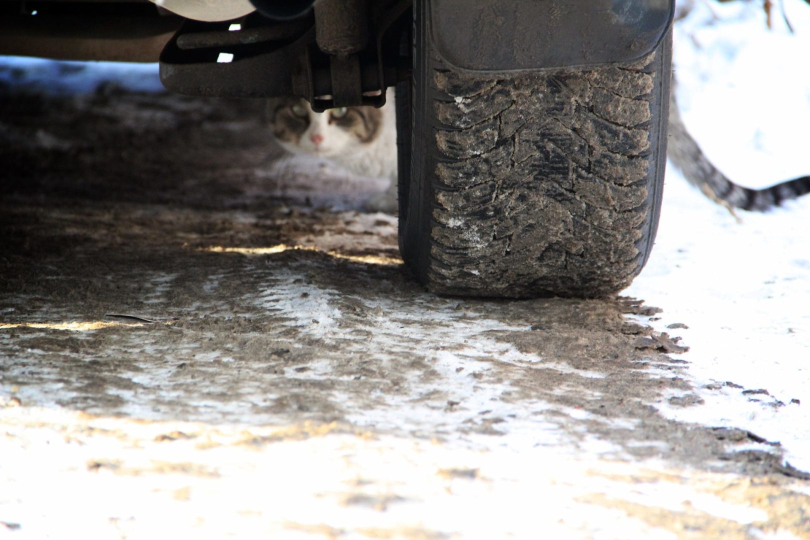 Злоумышленник украл автомобильные колеса на 100 тысяч рублей в Иркутске