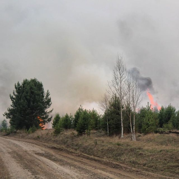Единый лесопожарный центр создадут в Иркутской области