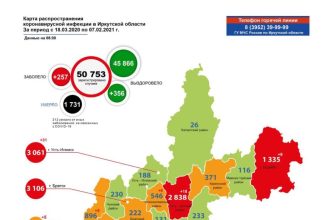Иркутск, Усть-Илимск и Ангарск лидируют по суточному приросту заболевших COVID-19
