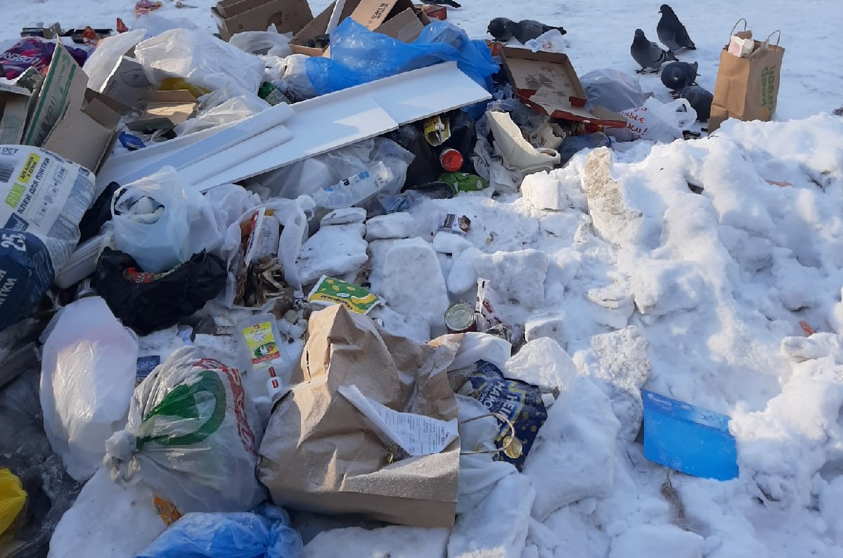 Мусорный коллапс: жители дома по улице Румянцева в Иркутске бьют тревогу