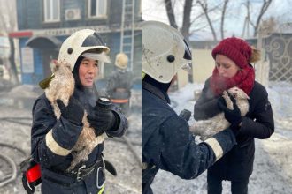 Пожарные спасли кота на пожаре в деревянном доме в Иркутске