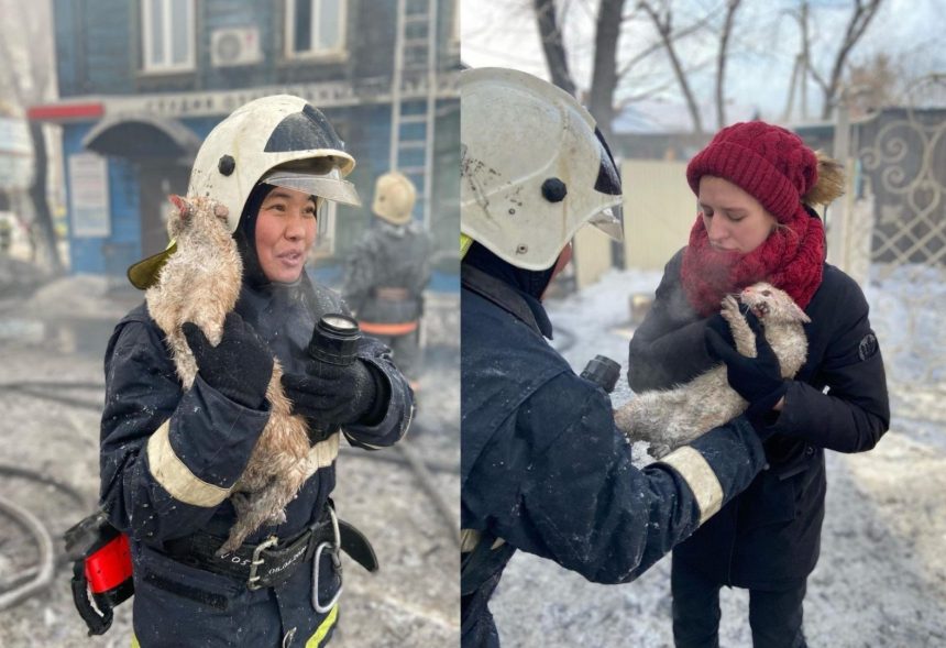 Пожарные спасли кота на пожаре в деревянном доме в Иркутске