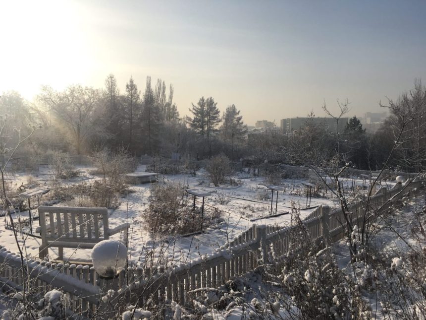 Ремесленный парк появится в Ботаническом саду Иркутска