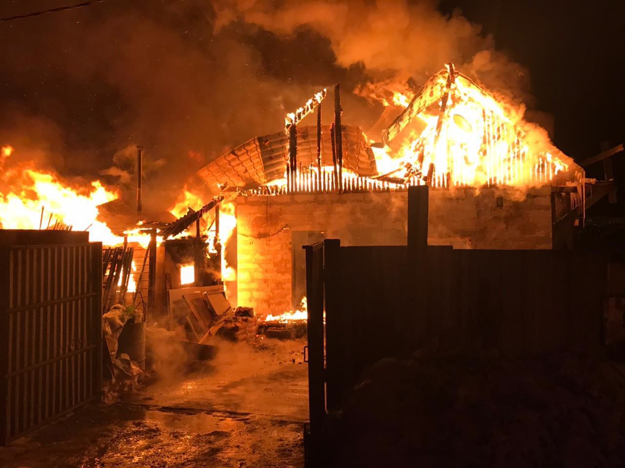 Собак, кошек и десяток кур вытащили пожарные из горящих построек в садоводстве Иркутского района