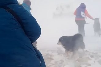 Ураганный ветер за два дня пронесся по Иркутской области, Забайкалью и Бурятии