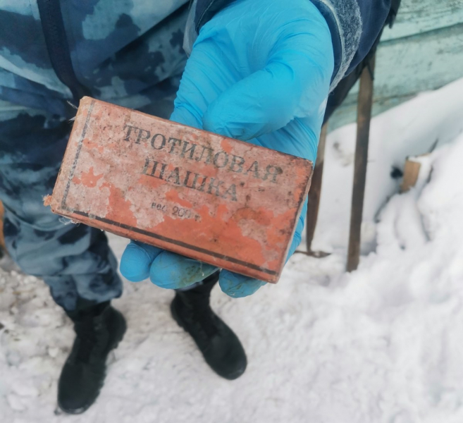 Житель Черемховского района нашел тротиловую шашку на участке своего дома