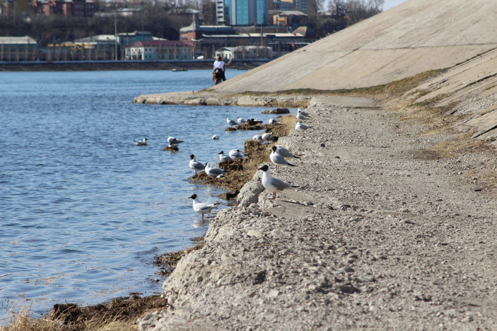 150 случаев COVID выявили в Иркутской области за сутки