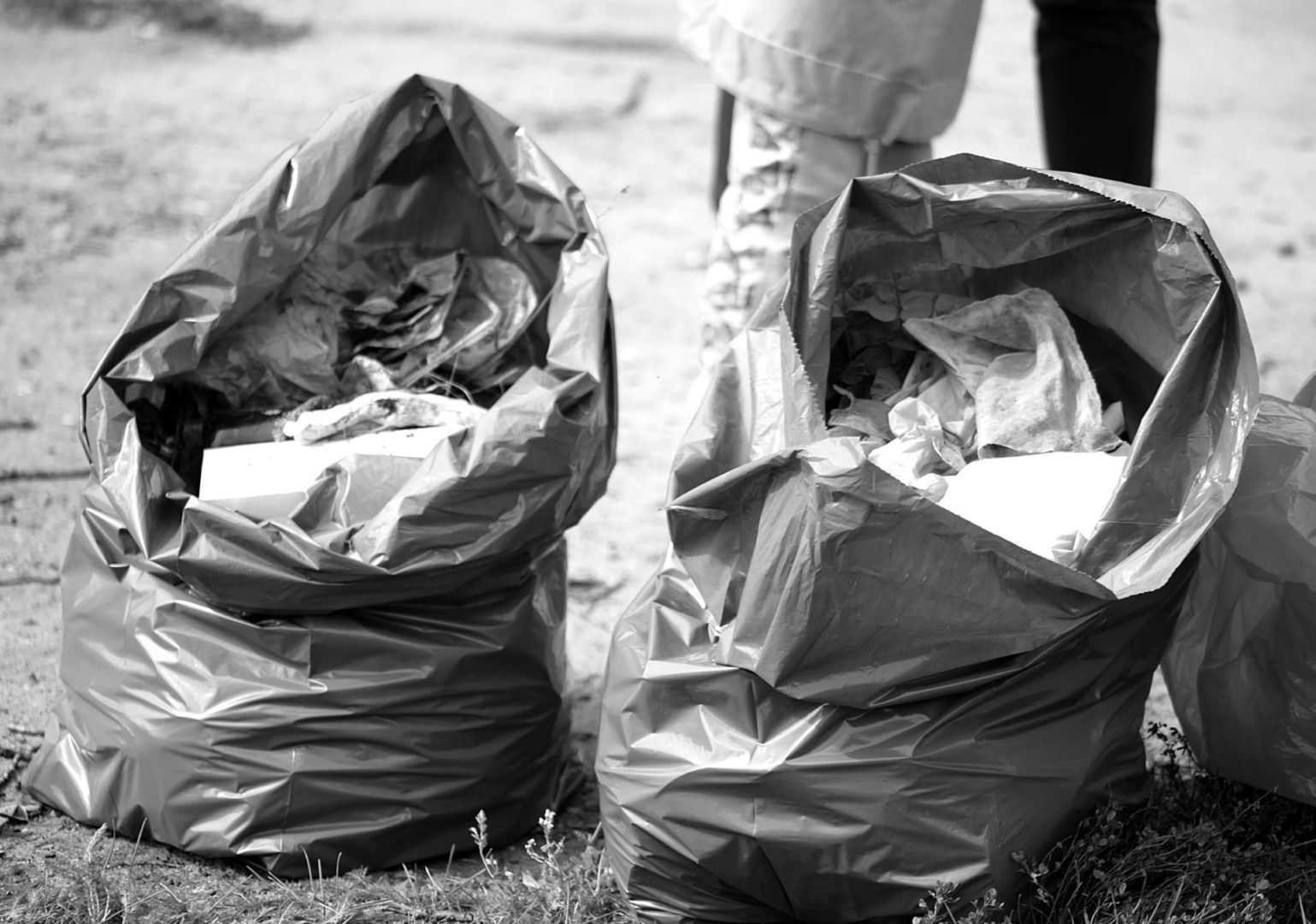 Берег реки Ушаковки в Иркутске очистили от мусора