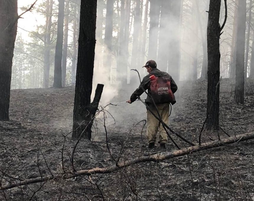 Бороться с лесными пожарами в Иркутской области начнут арендаторы земель