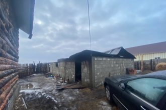 Десять лошадей погибло на пожаре в деревне Турская Иркутского района