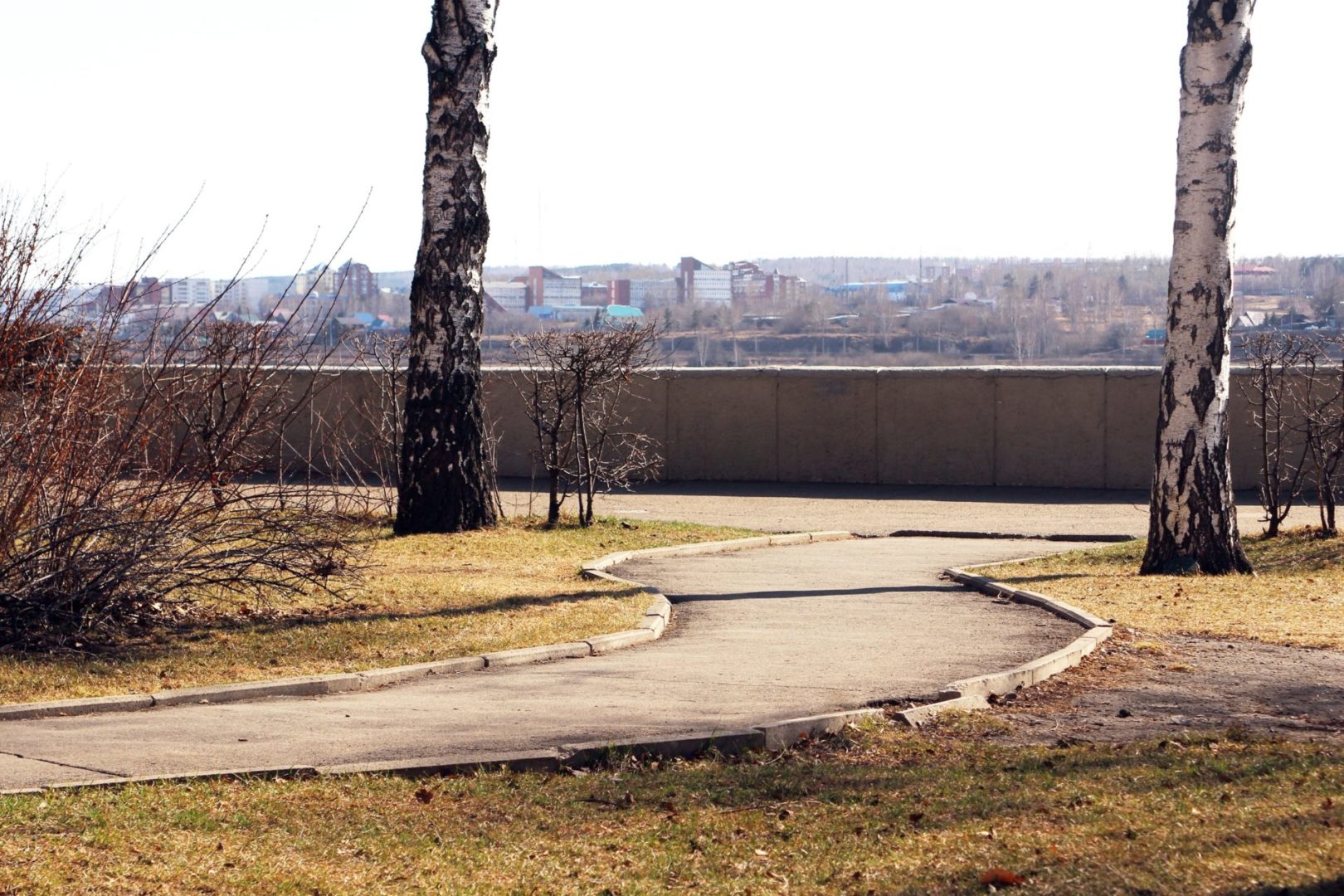 К 20 апреля в Иркутской области подтверждено почти 65 тысяч случаев COVID