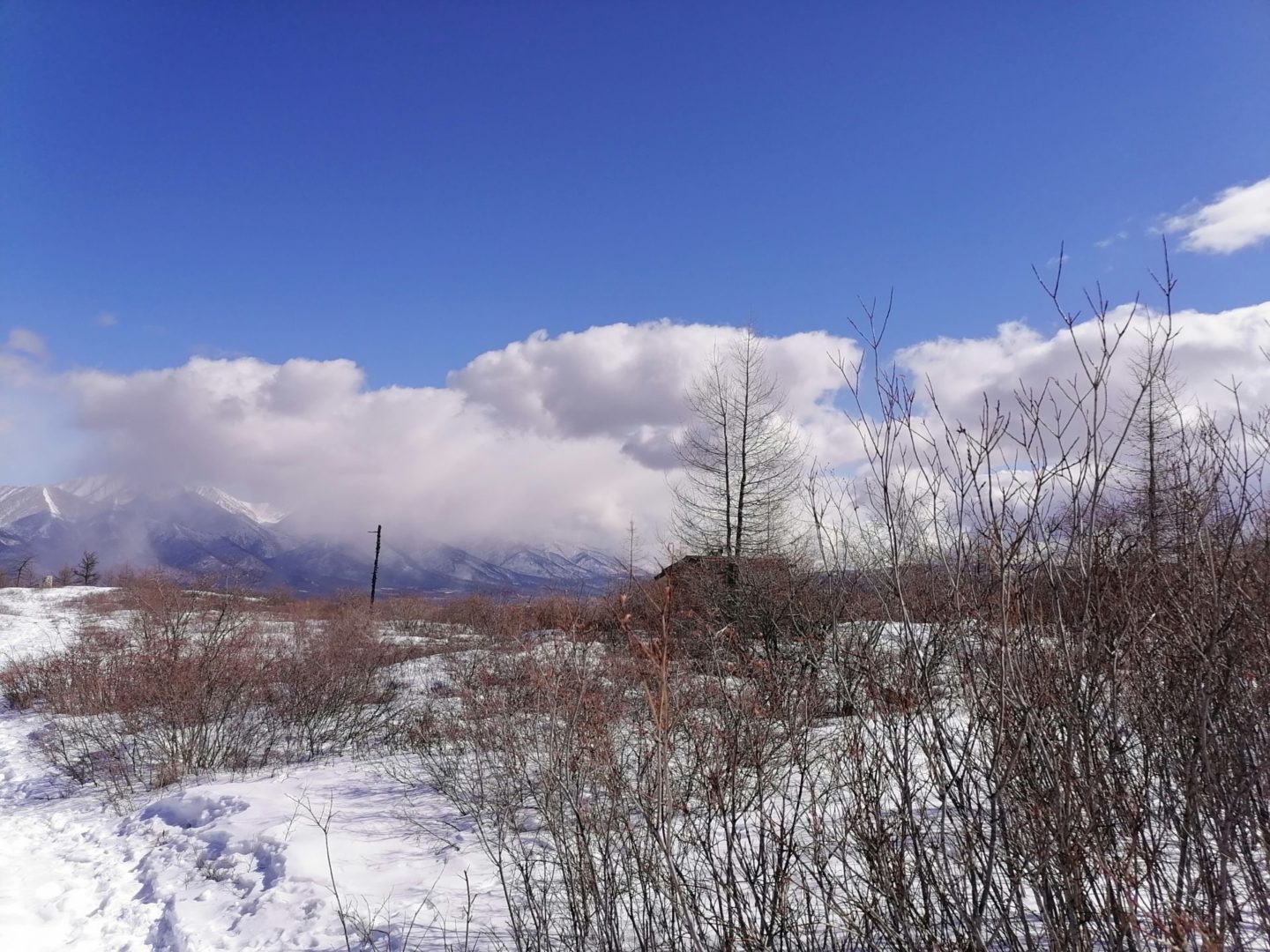 Коллектив Тункинского нацпарка пригласил Илона Маска в гости