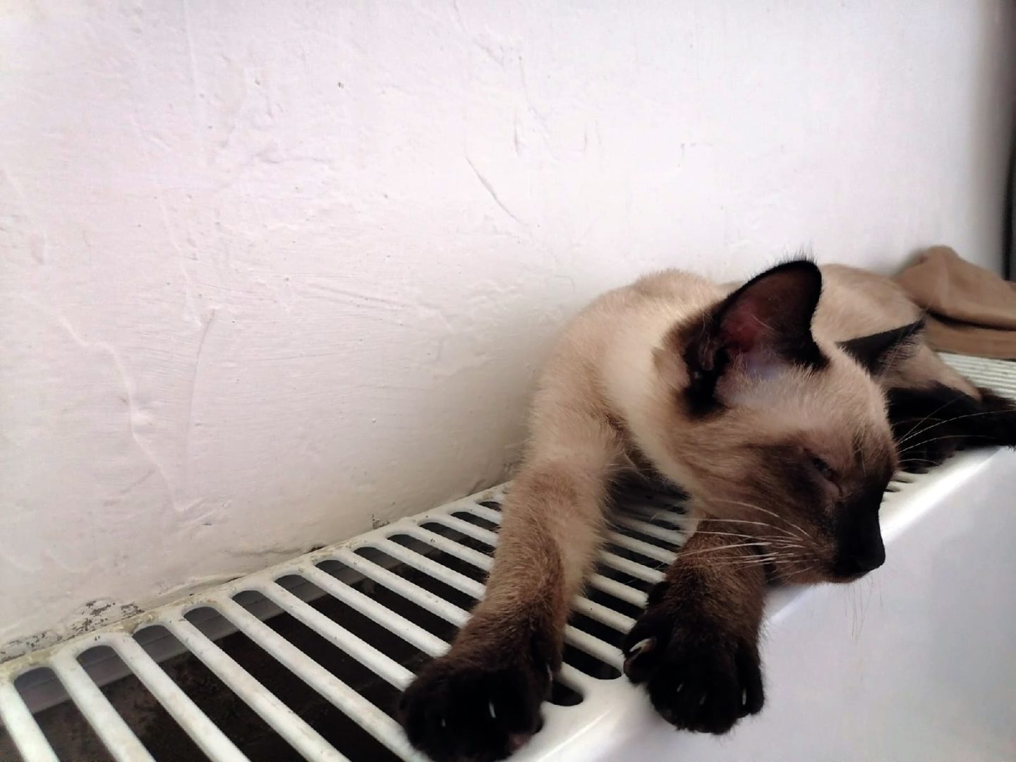 Отопительный сезон в Иркутске завершится в середине мая