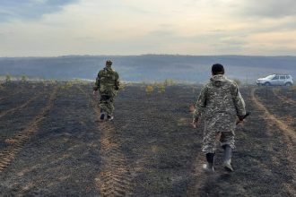 Пастух случайно сжег 24 гектара леса в Иркутском районе