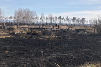 Первый в сезоне 21 года лесной пожар зарегистрирован в Иркутской области