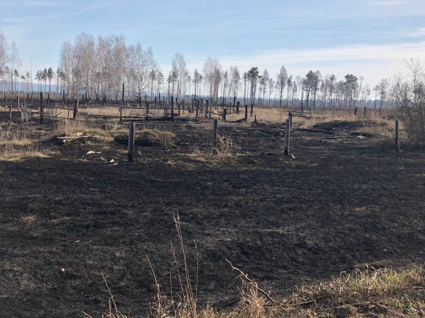 Первый в сезоне 21 года лесной пожар зарегистрирован в Иркутской области