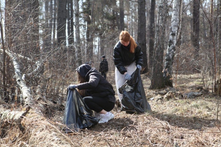 Ушаковский лес в Иркутске очистили от мусора