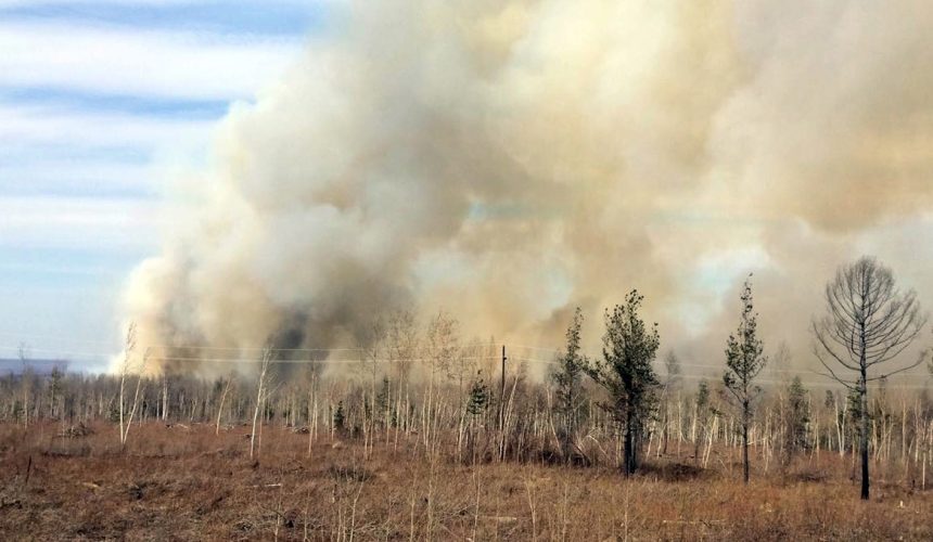 В лесах Сибири начались пожары
