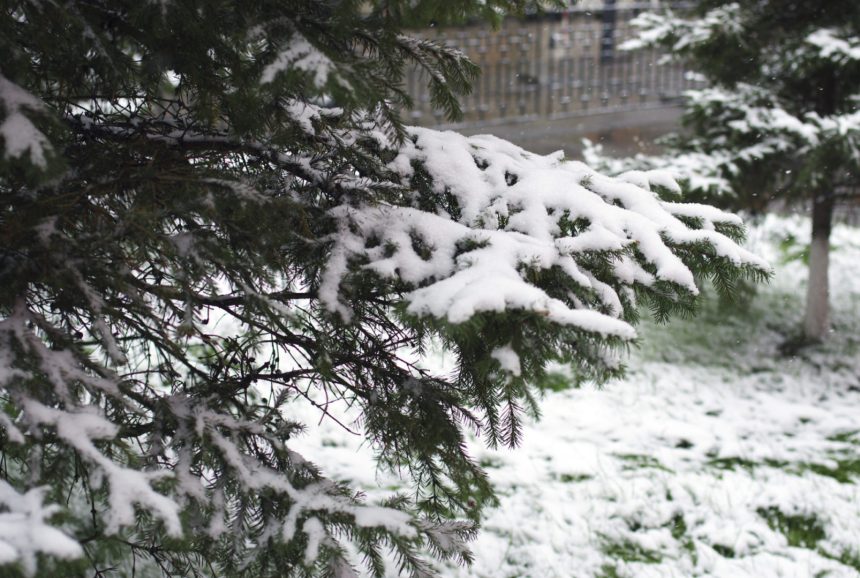 Ветер, дождь и мокрый снег ожидаются в Иркутской области 13 апреля