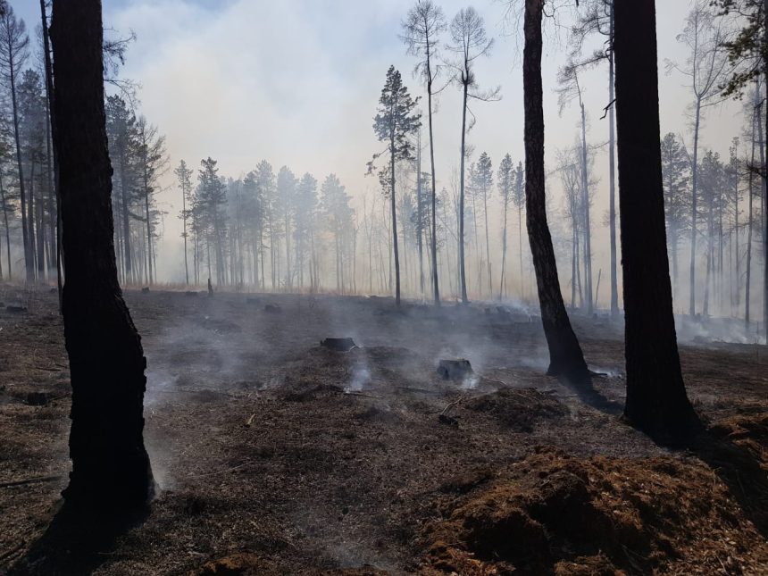 Крупный лесной пожар локализовали в Бодайбинском районе к 30 мая